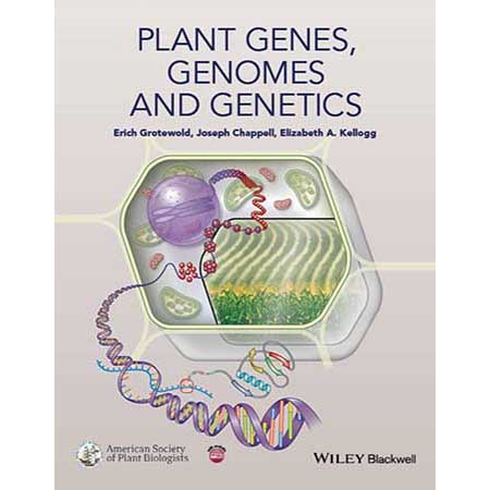 ژن گیاهی، ژنوم و ژنتیک