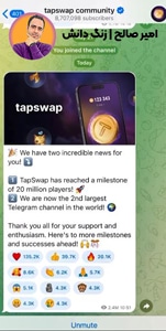 ارز دیجیتال تپ سواپ